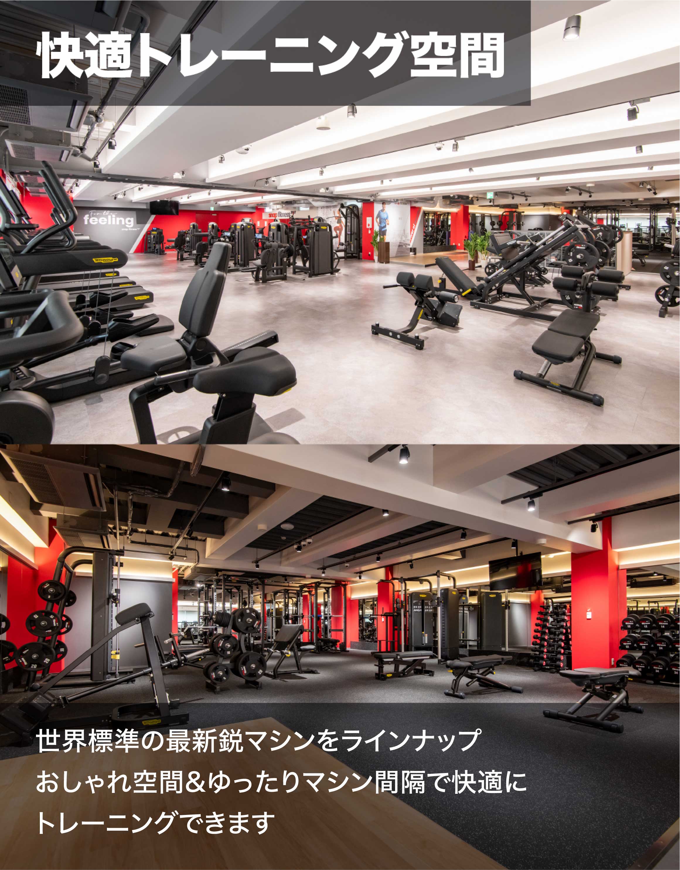 世界標準の最新鋭マシンをラインナップおしゃれ空間&ゆったりマシン間隔で快適にトレーニングできます