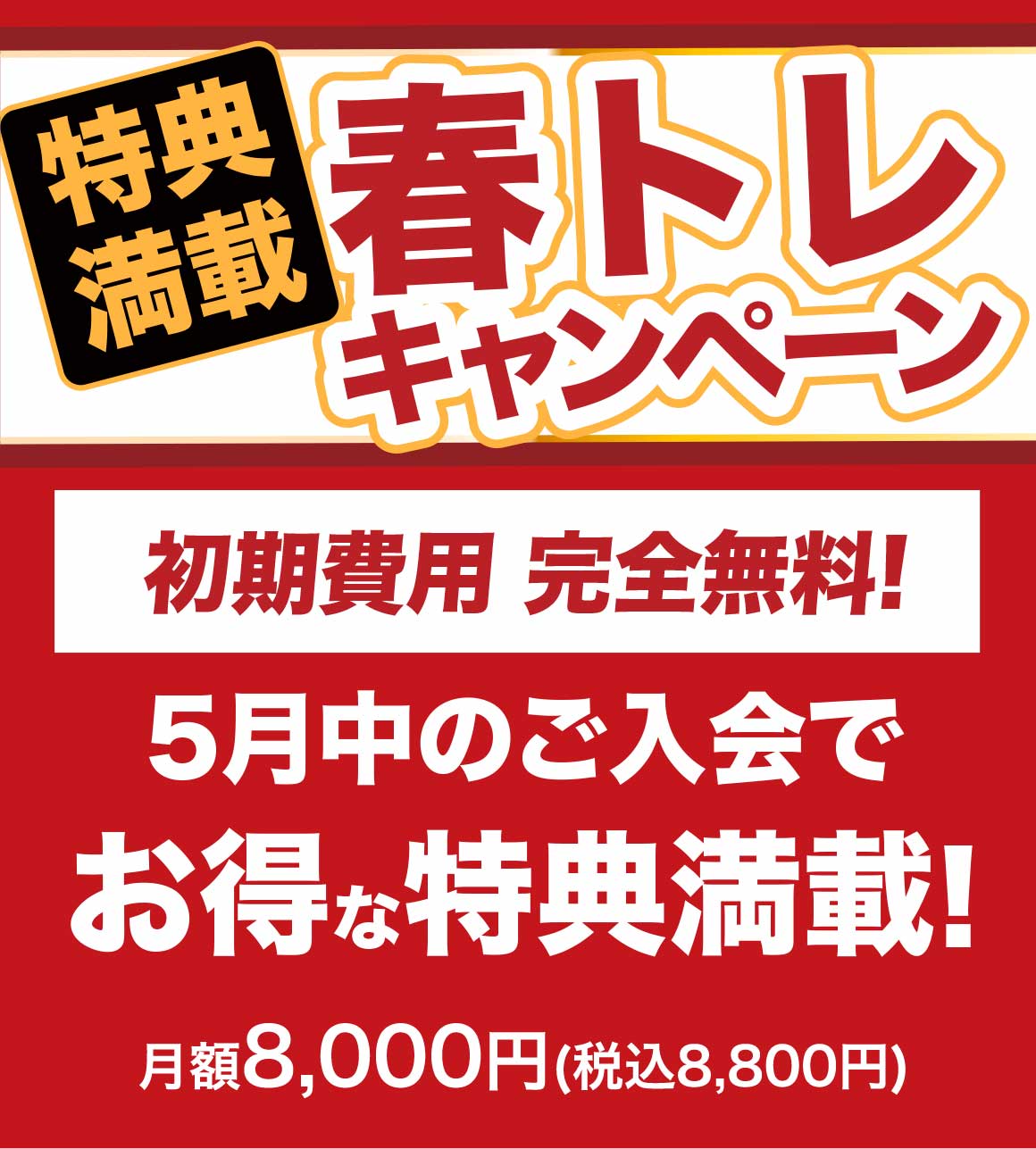 春トレキャンペーン